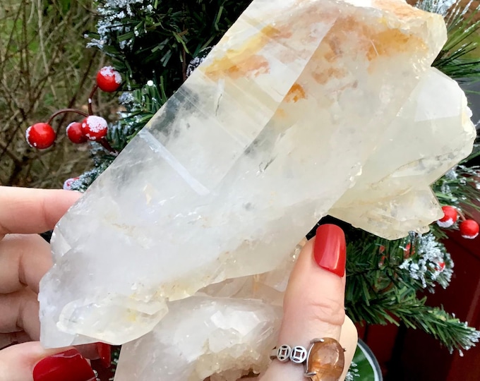 Golden Healer Himalayan Healing Quartz Crystal Cluster ~ Large 2 Lb. ~ 6" Long ~ Clear Points ~ Fast & Free Shipping from USA ~