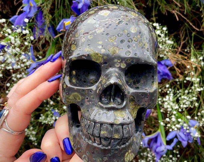 Orbicular Green Jasper Crystal Skull ~ Large 3 Lb. 5 oz. ~ 5" Long ~ One-of-a-Kind Carving ~ Swirling Green & Black Colors ~ Fast Shipping
