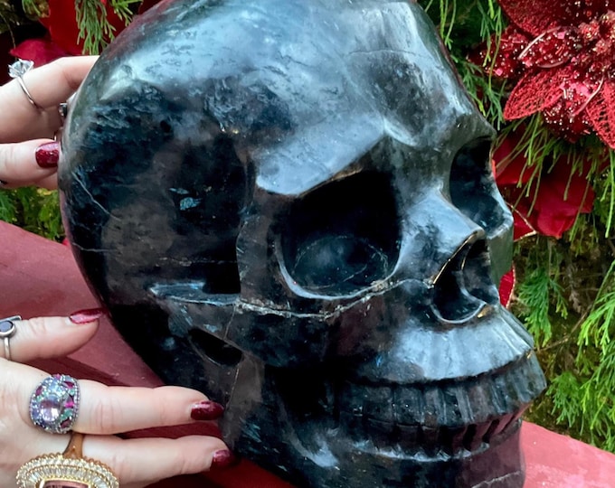 Huge 26 Lb ~ Astrophyllite with Garnet Crystal Skull ~ 10" Long ~ Flashing Blue, Red & Black Colors ~ Hand-Carved Sculpture ~ Fast Shipping