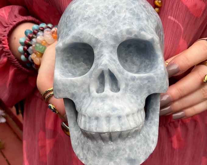 Blue Calcite Crystal Skull ~ Large 5 Lb. 4 oz.~ 6" Long ~ Sparkling Angelic Blue & White Colors ~ Expertly Hand Carved ~ Altar Display