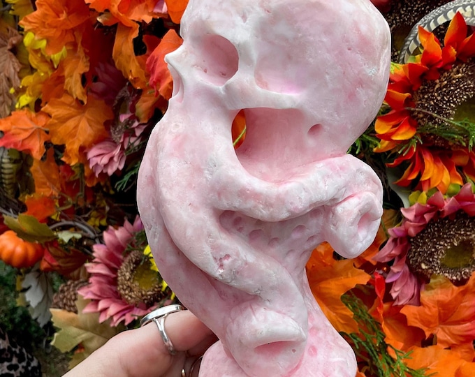 Pink Aragonite Octopus Skull Crystal ~ Large 3 Lb. 4 oz. ~ 8" Tall ~ Hand Carved Sparkling Pink & White Colors Sculpture