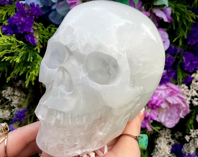 Selenite Crystal Skull ~ Large 2 Lb. 8 oz. ~ 5" Long ~ High Quality Hand Carved ~ Translucent Sparkling Gypsum Specimen ~ Fast Shipping