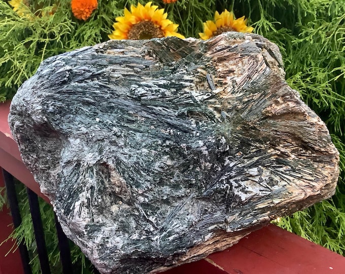 Green Actinolite Crystal Cluster ~ Large 38 lb. ~ 12" Long ~ Stunning Rare Metaphysical Home Decor, Sparkling Iridescent Crystals on Matrix