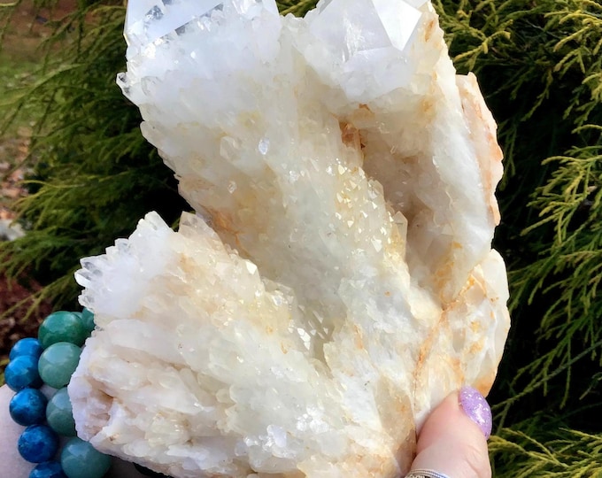 Golden Healer Elestial Quartz Crystal Cluster ~ Large 2 Lb. 5 oz. ~ 4" Tall ~ Rare Big Multi Points ~ Stunning Tibetan Display Specimen ~