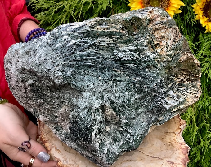 Green Actinolite Crystal Cluster ~ Large 38 lb ~ 12" Long ~ Stunning & Rare Metaphysical Home Decor, Sparkling Iridescent Crystals on Matrix
