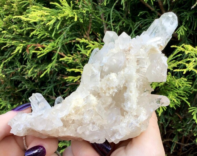 Clear Quartz Crystal Cluster ~ 11 oz. ~ 6" Long ~ Super High Quality Metaphysical Home Decor ~ Mined in Arkansas, USA ~ Fast & Free Shipping