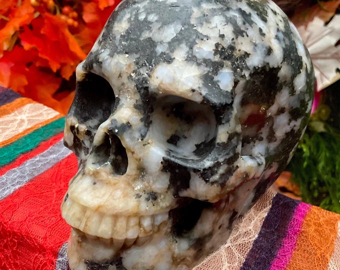 Black Tourmaline in Quartz Crystal Skull ~ Large 2 Lb. 15 oz. ~ 5" Long ~ Swirling Golden Healer Inclusions ~ Hand Carved