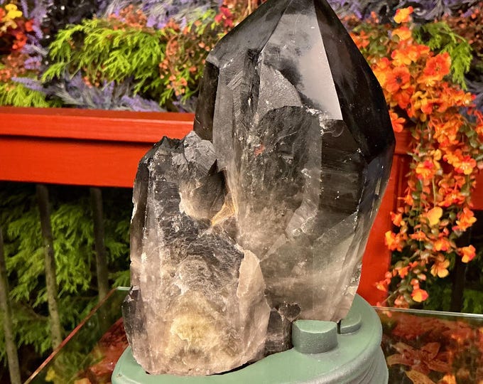 Black Morion Quartz Display Crystal 7 Lb. 4 oz.  Single-Terminated Point Cluster ~ 8" Tall ~Natural Black Color ~ Custom Hand Carved Stand