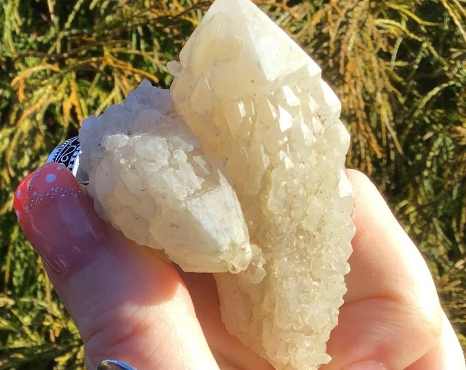 CLEARANCE ~ Elestial Frosted Quartz Crystal ~ 2.2 oz. ~ 3" Long ~ Spectacular Point Cluster ~ Shimmering Opaque Beige ~