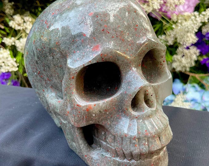 African Blood Stone Crystal Skull ~ 3 Lb. ~ 6" Long ~ Red and Gray Colors ~ Hand-Crafted Display Sculpture ~ Fast & Free Shipping