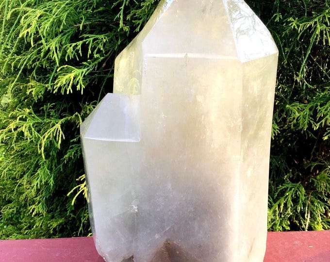 Quartz Crystal Generator ~ Large 17 lb. 10 oz. ~ 11" Tall ~ Multi Point Polished Tower ~ Sparkling White Fog & Smokey Quartz Inclusions