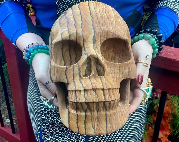 Picture Jasper Crystal Skull ~ Large 21 Lb. ~ 10" Long ~ One of-a Kind Expertly Hand Carved Sculpture ~ Sand, Golden, Beige Colors ~