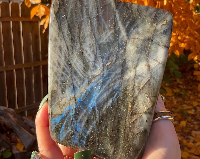 CLEARANCE! ~ Labradorite Freeform Crystal ~ Large 3 Lb. 3 oz. ~ 5 1/2" Tall ~ Flashiest Electric Blue ~ Super High Flash Quality