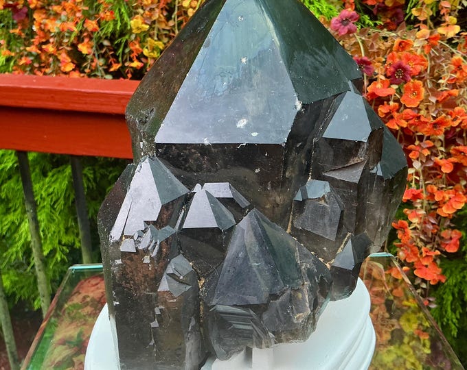 Black Morion Quartz Display Crystal 12 Lb. 12 oz.  Single-Terminated Point Cluster ~ 8" Tall ~Natural Black Color ~ Custom Hand Carved Stand