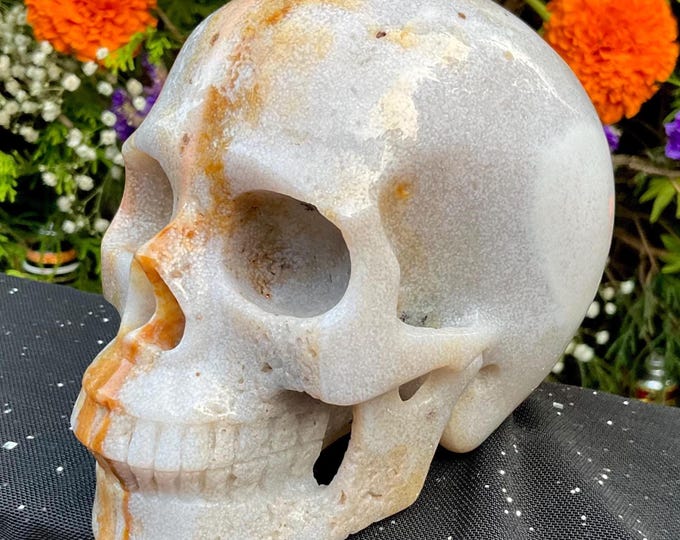 Chalcedony Agate Crystal Skull ~ 2 Lb. 11 oz.~ 5" Long ~ Swirling Blue Yellow & Gold Colors Expertly Hand-Carved Display Sculpture