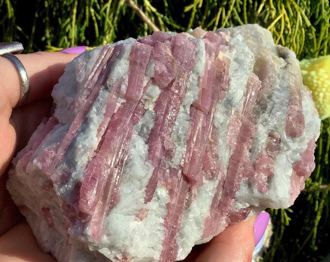 Pink Tourmaline Quartz Crystal Cluster ~ Large 1 Lb. 10 oz. ~ 5" Long ~ Big Gemmy Colorful Bands on Quartz Matrix ~ Fast & Free Shipping