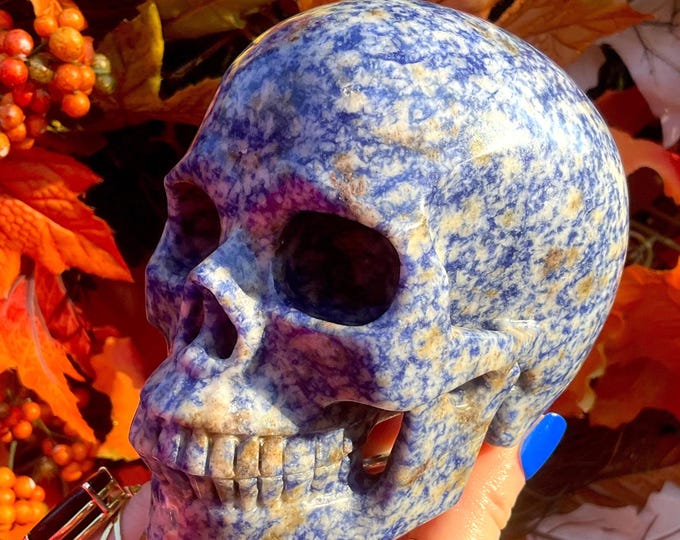 Speckled Sodalite Crystal Skull ~ 2 Lb. 11 oz. ~ 5" Long ~ Hand Carved Sparkling Royal Blue, White, Gold Colors ~ Fast & Free Shipping, USA