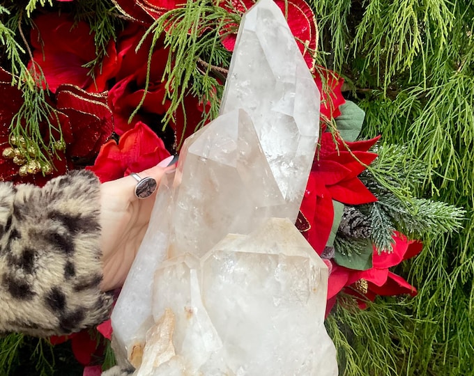 Brazilian Clear Quartz Crystal Cluster ~ 10 lb. 11 oz. ~ 12" Tall ~ Sparkling Crystal Points ~ Fast & Free Shipping, USA + Global Shipping ~