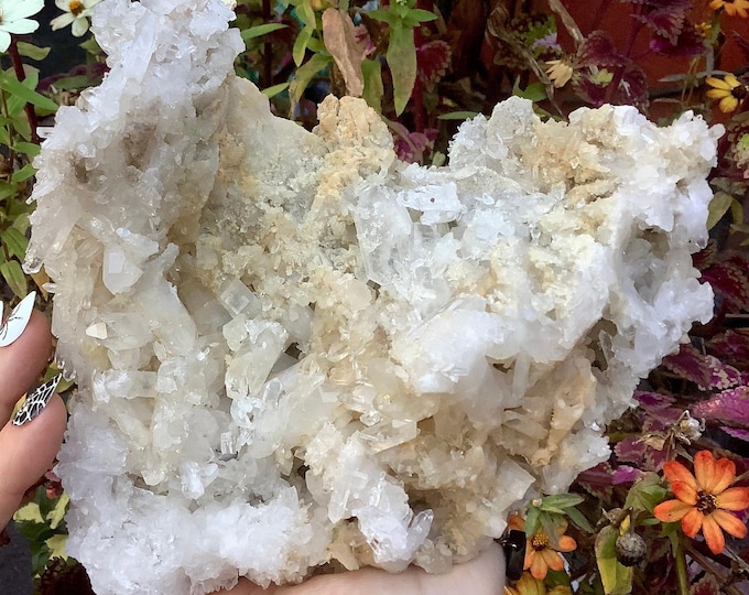 Golden Healer Quartz Crystal Cluster ~ Large 2 Lb. 10 oz. ~ 6 1/2" Long ~ Sparkling Clear Points ~ Feng Shui, Display