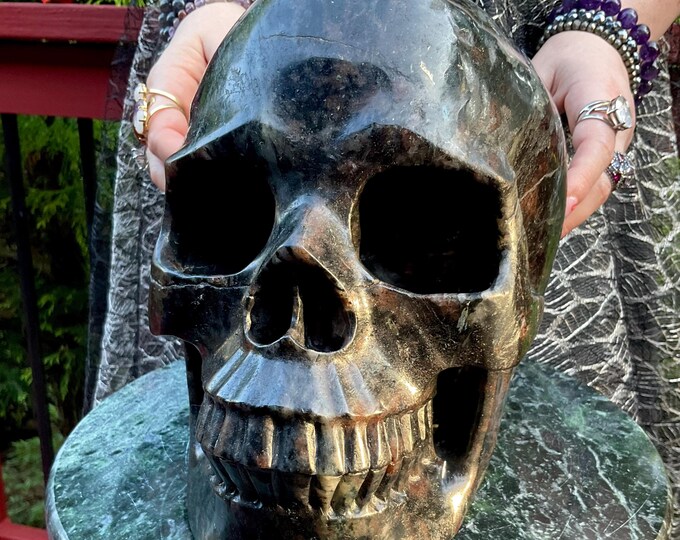 Huge Astrophyllite w/ Garnet and Black Tourmaline Crystal Skull ~ 26 Lb ~ 10" Long ~ Flashing Blue, Red & Black Colors ~ Metaphysical Decor