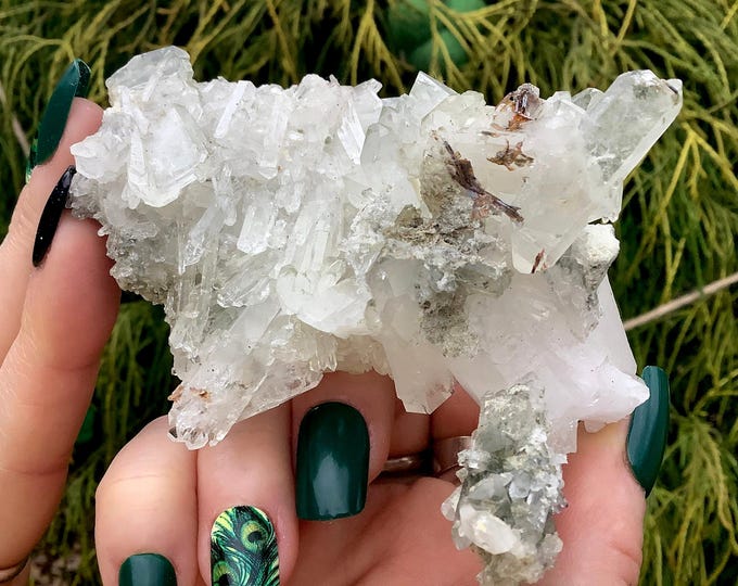 Faden, Brookite, Actinolite Clear Quartz Crystal Cluster ~ Large 5 oz. ~ 4" Long ~ Rare Specimen ~ Ultra High Luster ~ Metaphysical Decor ~