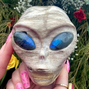 May include: A carved alien head sculpture with large, oval eyes that have a blue and black iridescent sheen. The sculpture is a light, neutral color with visible texture and detail. The alien head is held in a hand with pink nails.