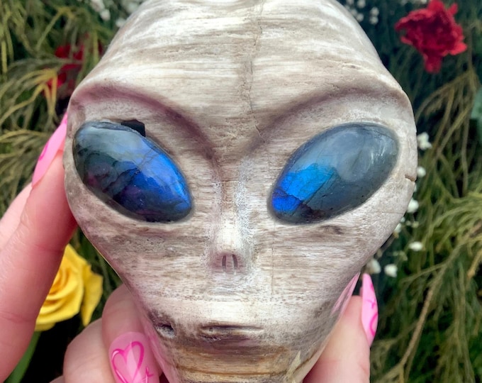 Petrified Wood Crystal Alien Skull ~ Large 2 Lb. 11 oz ~ 4" Long ~ w Labradorite Eyes ~ One-of-a-Kind Color ~ Expertly Hand Carved Sculpture