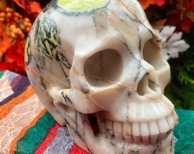 Electric Green Jasper Crystal Skull ~ Large 3 Lb. ~ 5" Long ~ Hand Carved Display Sculpture ~ Fast & Free Shipping USA + Global Shipping ~
