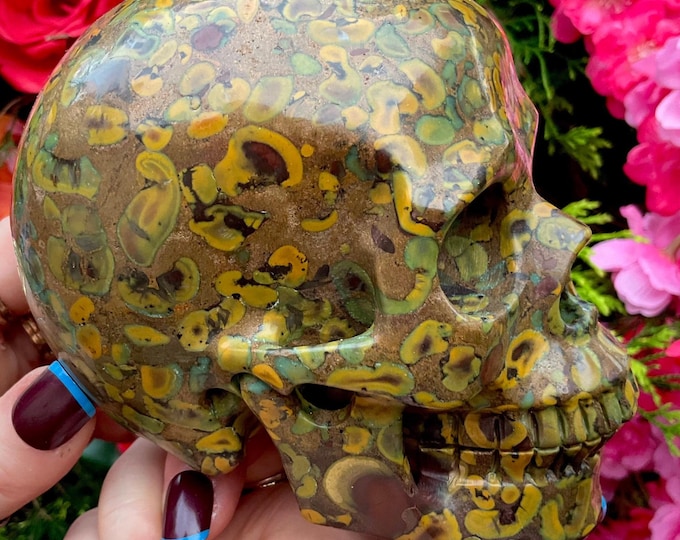 Fossilized Jasper Crystal Skull ~ Large 2 Lb. 14 oz.  ~ 5" Long ~ Hand Carved Sculpture ~ Golden Red Brown & Black Colors, Fast Shipping USA