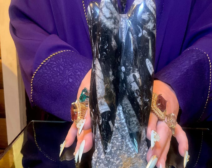 Orthoceras Large 2 Lb. 11 oz. Tower Free Form Natural Sculpture ~ 8" Tall ~ Mined in Morocco ~ 400 million Years Old ~ Natural Formation