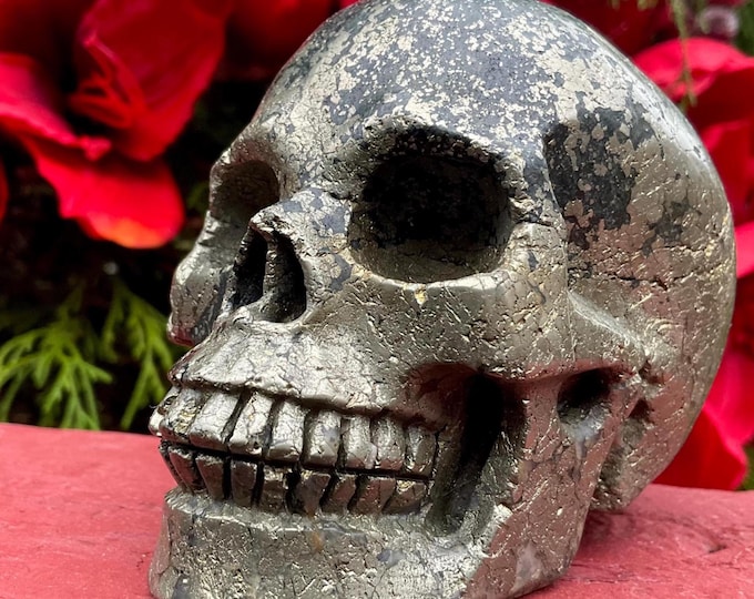 Pyrite with Tourmaline Crystal Skull ~ Large 2 Lb. 5 oz. ~ 4" Long ~ Rare Metaphysical Home Decor ~ Altar Display, Meditation, Home, Office