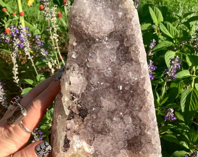 CLEARANCE! ~ Amethyst Crystal Cluster ~ Large 3 lb. 11 oz. ~ 7" Tall ~ Reiki Display Beautiful Purple Quartz Points ~ Fast & Free Shipping