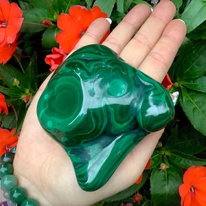 Malachite Freeform Crystal ~ Large 14.8 oz. ~ 3&quot; Long ~ Beautiful Polished Green Mineral Specimen ~ Swirling Bullseye Patterns ~ Congo