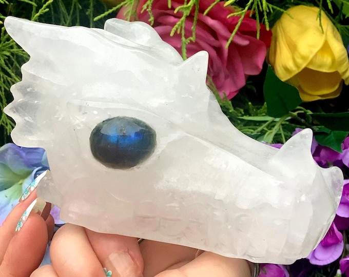 Clear Quartz Crystal Dragon Skull ~ Large 1 Lb. 9 oz. ~ 4 1/2" Long ~ Sparkling Blue Labradorite Eyes ~ Metaphysical Home Decor, Altar