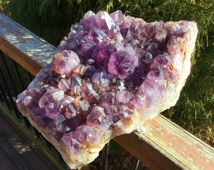 Amethyst Crystal Cluster ~ Large 48 lb. ~ 16" Long ~ Sparkling Beautiful Purple Quartz Points ~ Massive Specimen ~ Reiki, Display,