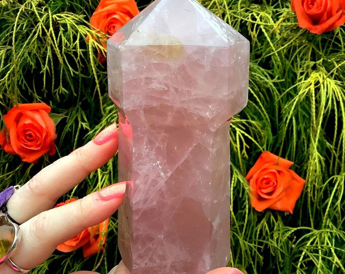 Rose Quartz Crystal Generator ~ Large 1 Lb. 10 oz. ~ 5" Tall ~ Polished Scepter ~ Heart Chakra, Reiki, Altar Display ~ Fast & Free Shipping