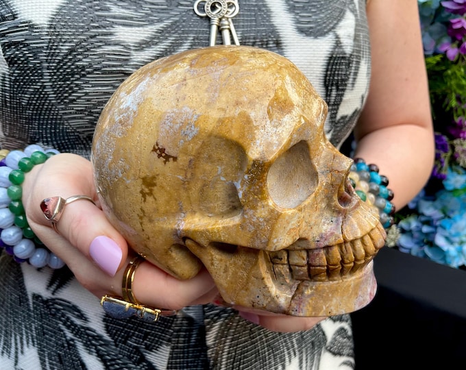 Yellow Ocean Jasper Crystal Skull ~ Large 2 Lb. 10 oz. ~ 5" Long High Quality ~ Expertly Hand-Carved Sculpture Vivid Colors ~ Fast Shipping