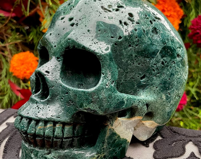 Green Ocean Jasper Crystal Skull ~ Large 2 Lb. 10 oz. ~ 5" Long ~ High Quality Expertly Hand-Carved Vivid Colors ~ Fast & Free Shipping, USA