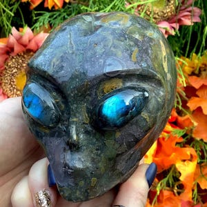 Peut inclure: Une sculpture de tête d'extraterrestre en pierre sculptée avec de grands yeux ovales. Les yeux sont d'un bleu vibrant avec un effet chatoyant. La sculpture est principalement vert foncé et grise avec des accents dorés.