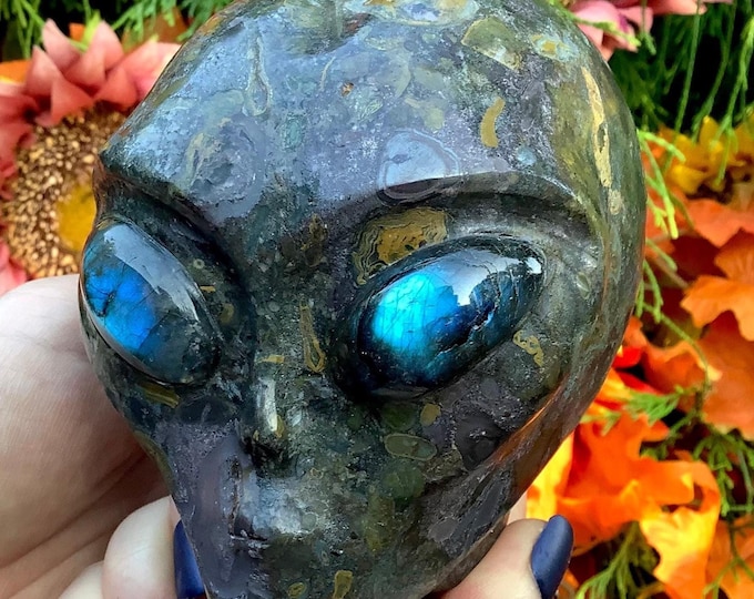Kambaba Jasper Crystal Alien Skull ~ 2 Lb. 14 oz. ~ 4" Long ~ Sparkling Blue Labradorite Eyes ~ One-of-a-Kind Expertly Hand Carved Sculpture