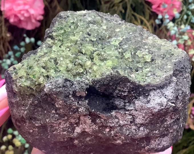 Peridot Crystal Cluster ~ Large 1 lb. 8 oz. ~ 3" Long ~ Green Olivine/Peridot on Natural Matrix ~ Fast & Free Shipping USA + Global Shipping