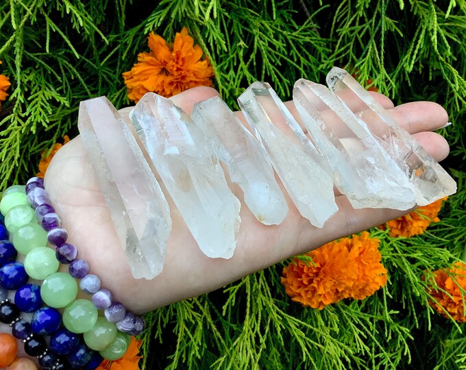 Ultra Clear Quartz Mini Wand Collection ~ 3" Long ~ 6 Crystals ~ Grids, Gifts, Meditation, Altar, Display - Free & Fast Shipping