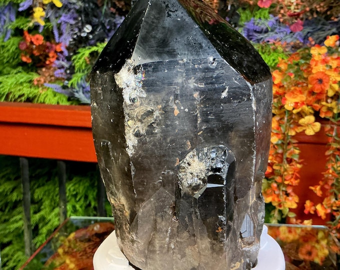 Black Morion Quartz Display Crystal 9 Lb. 11 oz.  Single-Terminated Point Cluster ~ 8" Tall ~Natural Black Color ~ Custom Hand Carved Stand