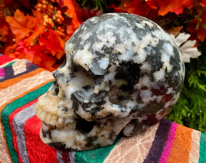 Black Tourmaline in Quartz Crystal Skull ~ Large 2 Lb. 15 oz. ~ 5" Long ~ Swirling Golden Healer Inclusions ~ Hand Carved ~ Fast Shipping ~