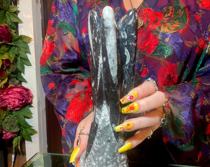 Orthoceras Large 2 Lb. 6 oz. Tower Free Form Natural Sculpture ~ 8" Tall ~ Mined in Morocco ~ 400 million Years Old ~ Natural Formation