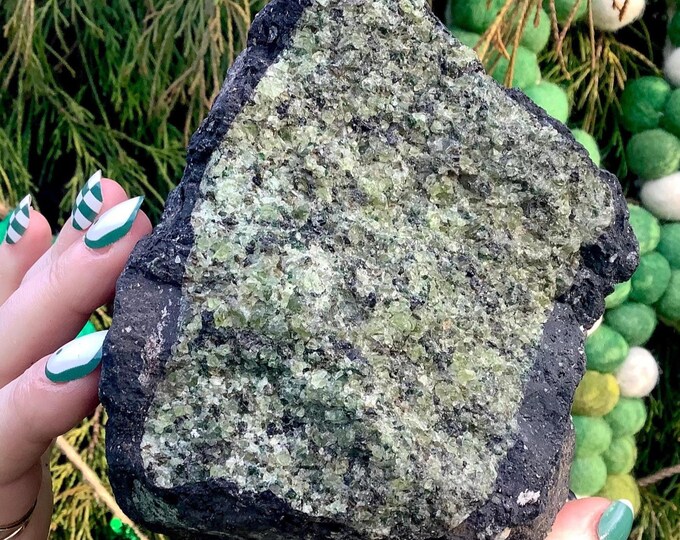 CLEARANCE! ~ Peridot Crystal Cluster ~ Large 5 lb.~ 5" Long ~ Heart Chakra Reiki Display ~ Green Peridot/Olivine on Natural Matrix ~