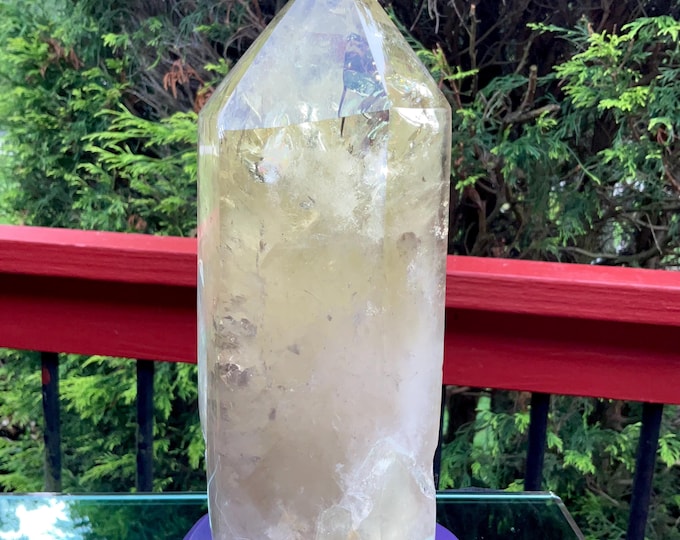 Clear Citrine Quartz Crystal Point ~ 4 Lb.  10 oz. ~ 8" Tall~ Sparkling Yellow with Golden Rainbow Inclusions ~ Custom Hand Carved Stand