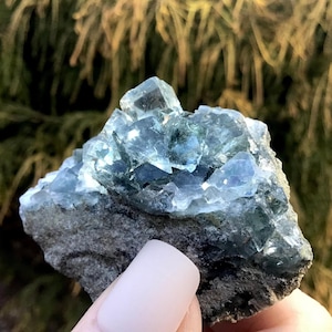 May include: A cluster of translucent, pale blue-green fluorite crystals with sharp, cubic geometric formations. The crystalline structure sits atop a rough, dark grey, textured mineral matrix base, showcasing natural mineral growth patterns.