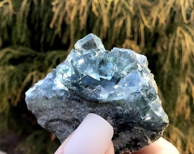 Clear Blue Cubic Fluorite Crystal Cluster ~ 2.4 oz. ~ 2" Long ~ Sparkling Mineral Matrix ~ Ancient Translucent Specimen ~ Fast Free Shipping