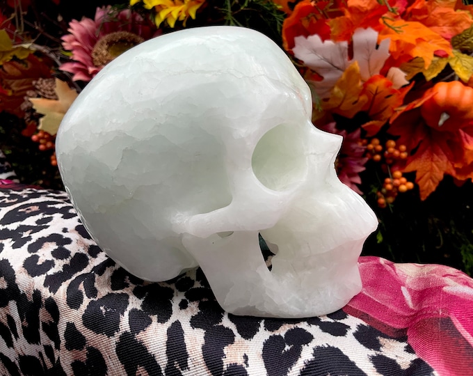 Blue Aragonite Crystal Skull ~ Large 2 Lb. 13 oz. ~ 5" Long ~ Hand Carved Sparkling Blue & White Crystal Sculpture ~ Fast Free Shipping, USA